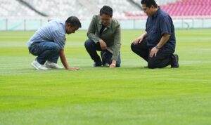 Jelang Lawan Jepang dan Arab Saudi, PSSI Pastikan Rumput SUGBK Terbaik